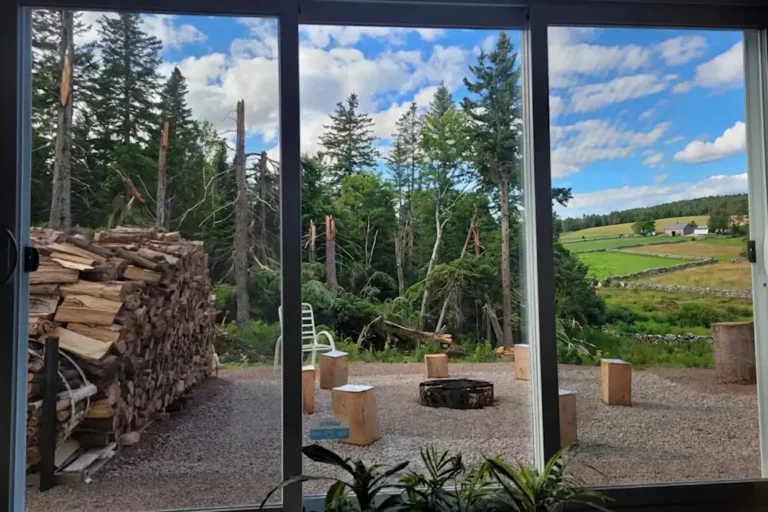 A view through a window overlooking a wooded yard with broken trees and distant farm hills